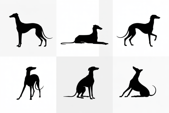 Greyhound Dog Silhouette Poses: A Hands-On Review