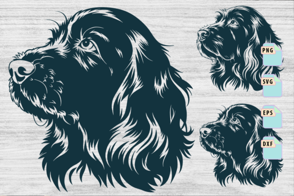 Irish Setter Dog Breed Sit Sitting Puppy