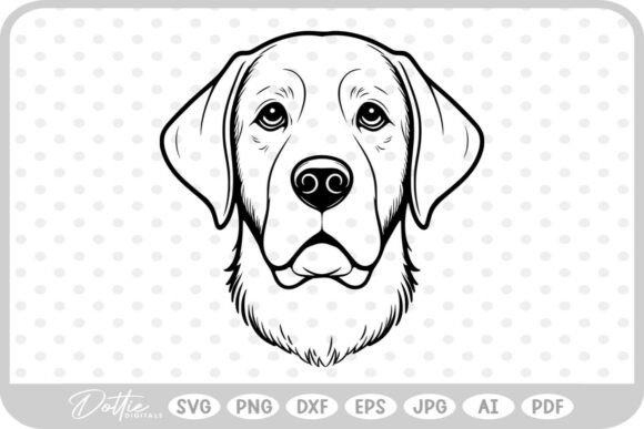 Retriever Dog Labrador Puppy Pet Head