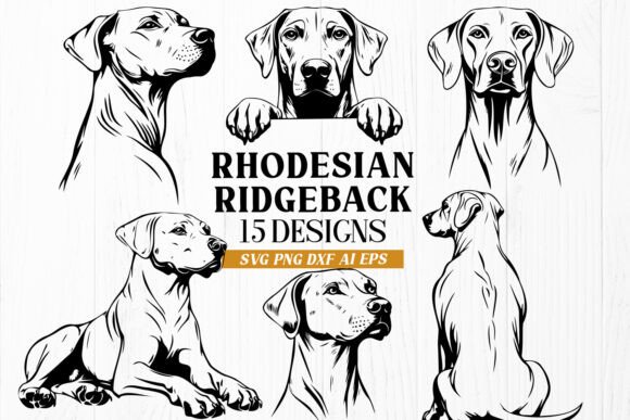 Rhodesian Ridgeback SVG Bundle 15 Dogs