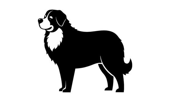 Silhouette of a Bernese Mountain Dog